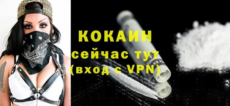 ссылка на мегу маркетплейс  Ленск  Cocaine VHQ  как найти закладки 